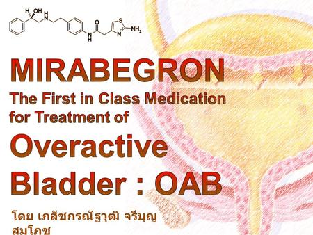 โดย เภสัชกรณัฐวุฒิ จรีบุญ สมโภช. OAB affects 33 million people in the United States (17% of American adults) more common in women and in older people.