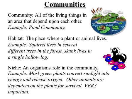 Communities Community: All of the living things in an area that depend upon each other. Example: Pond Community. Habitat: The place where a plant or animal.