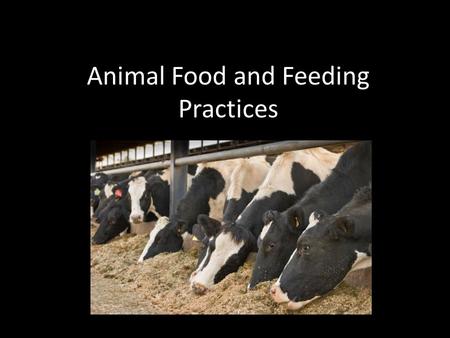 Animal Food and Feeding Practices. What we are covering this week… Nutritional value of feed Digestibility Feed requirements of maintenance, growth, pregnancy.