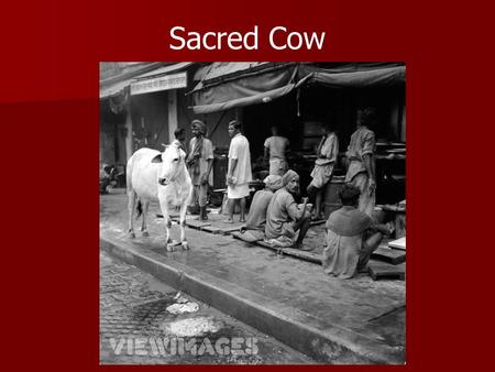 Sacred Cow. The idiom “Sacred Cow” refers to something that cannot be interfered with or harmed in any way. The idiom “Sacred Cow” refers to something.