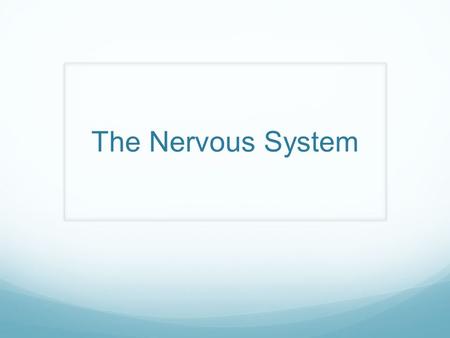 The Nervous System. This is awesome! O lny srmat poelpe can raed tihs. I cdnuolt blveiee taht I cluod aulaclty uesdnatnrd waht I was rdanieg. The phaonmneal.