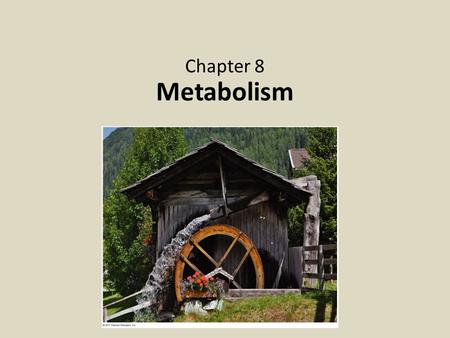 Metabolism Chapter 8. Energy, Enzymes & Respiration 1.Energy – Energy balance – Reactions & energy – ATP 2.Enzymes – Activity – Environmental effects.