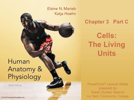 PowerPoint ® Lecture Slides prepared by Karen Dunbar Kareiva Ivy Tech Community College © Annie Leibovitz/Contact Press Images Chapter 3 Part C Cells: