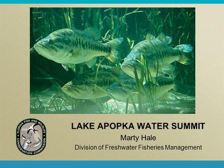 LAKE APOPKA WATER SUMMIT Marty Hale Division of Freshwater Fisheries Management.