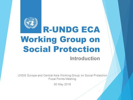 R-UNDG ECA Working Group on Social Protection UNDG Europe and Central Asia Working Group on Social Protection Focal Points Meeting 30 May 2016 1 Introduction.