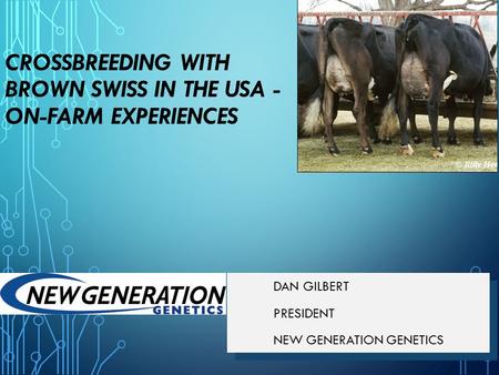 CROSSBREEDING WITH BROWN SWISS IN THE USA - ON-FARM EXPERIENCES DAN GILBERT PRESIDENT NEW GENERATION GENETICS DAN GILBERT PRESIDENT NEW GENERATION GENETICS.