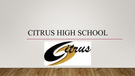 CITRUS HIGH SCHOOL. MISSION STATEMENT Through the use of leadership and guidance, I want to educate these students in government and also make an impact.