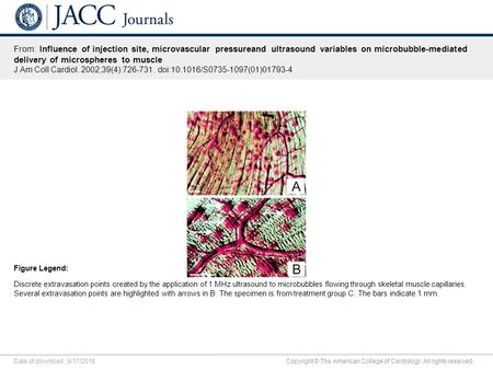 Date of download: 9/17/2016 Copyright © The American College of Cardiology. All rights reserved. From: Influence of injection site, microvascular pressureand.