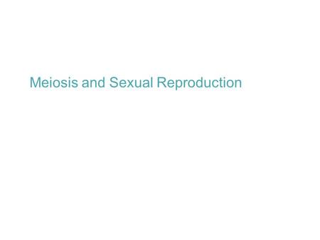 Chapter 10 Meiosis and Sexual Reproduction. Chromosome Numbers: 1.All sexually reproducing organisms have pairs of chromosomes. 2.Homologous Chromosomes: