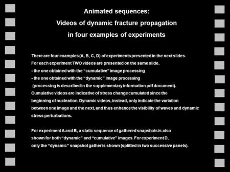 Animated sequences: Videos of dynamic fracture propagation in four examples of experiments There are four examples (A, B, C, D) of experiments presented.