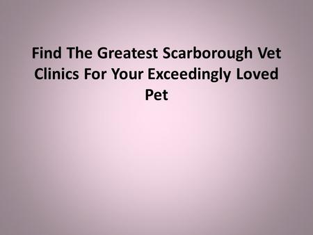 Find The Greatest Scarborough Vet Clinics For Your Exceedingly Loved Pet.