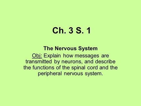 Ch. 3 S. 1 The Nervous System Obj: Explain how messages are transmitted by neurons, and describe the functions of the spinal cord and the peripheral nervous.