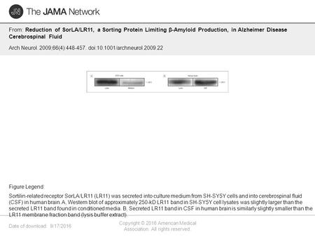 Date of download: 9/17/2016 Copyright © 2016 American Medical Association. All rights reserved. From: Reduction of SorLA/LR11, a Sorting Protein Limiting.