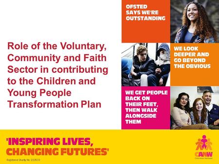 Role of the Voluntary, Community and Faith Sector in contributing to the Children and Young People Transformation Plan.