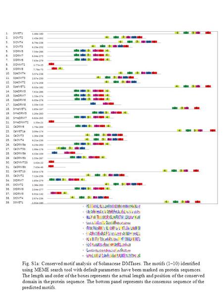 Fig. S1a: Conserved motif analysis of Solanaceae DMTases. The motifs (1–10) identiﬁed using MEME search tool with default parameters have been marked on.