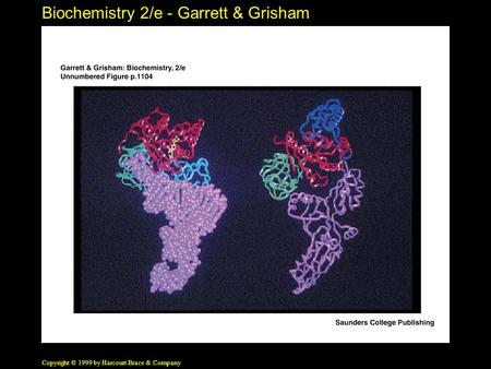 Biochemistry 2/e - Garrett & Grisham Copyright © 1999 by Harcourt Brace & Company.