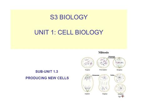 S3 BIOLOGY UNIT 1: CELL BIOLOGY SUB-UNIT 1.3 PRODUCING NEW CELLS.