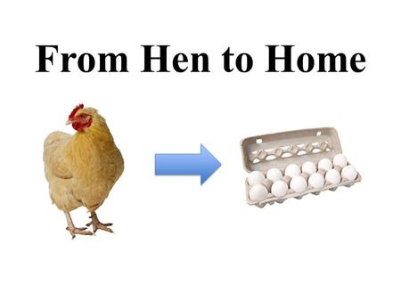 From Hen to Home. Farm How many eggs does a chicken lay each day? 1.