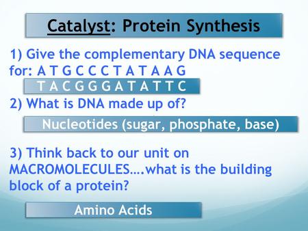 Catalyst: Protein Synthesis 1) Give the complementary DNA sequence for: A T G C C C T A T A A G 2) What is DNA made up of? 3) Think back to our unit on.