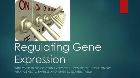 Regulating Gene Expression WITH OVER 20.000 GENES IN EVERY CELL, HOW DOES THE CELL KNOW WHAT GENES TO EXPRESS AND WHEN TO EXPRESS THEM?