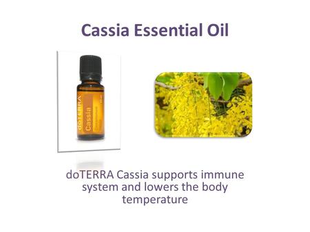 Cassia Essential Oil doTERRA Cassia supports immune system and lowers the body temperature.