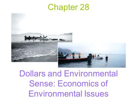 Chapter 28 Dollars and Environmental Sense: Economics of Environmental Issues.