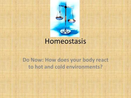 Homeostasis Do Now: How does your body react to hot and cold environments?