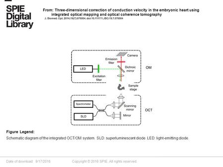 Date of download: 9/17/2016 Copyright © 2016 SPIE. All rights reserved. Schematic diagram of the integrated OCT/OM system. SLD: superluminescent diode.