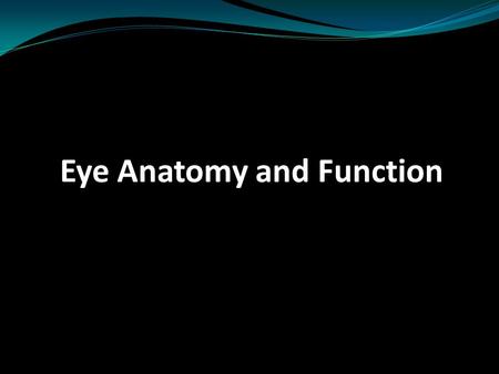 Eye Anatomy and Function. Cornea Transmission of light Refraction of light: +42 dioptres.