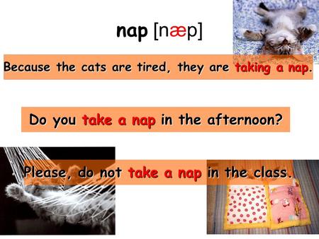 Nap [næp] Because the cats are tired, they are taking a nap. Do you take a nap in the afternoon? Please, do not take a nap in the class.