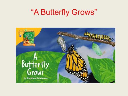 “A Butterfly Grows”. astonishing If something is astonishing, it amazes and surprises you.