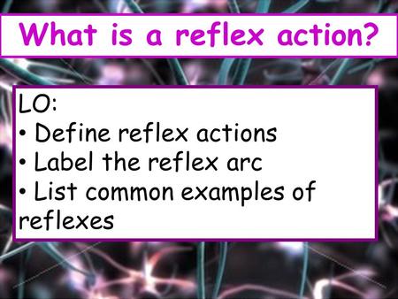 LO: Define reflex actions Label the reflex arc List common examples of reflexes What is a reflex action?