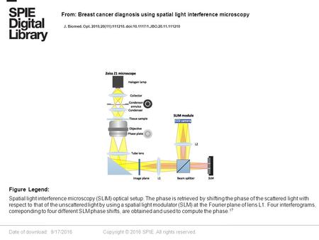 Date of download: 9/17/2016 Copyright © 2016 SPIE. All rights reserved. Spatial light interference microscopy (SLIM) optical setup. The phase is retrieved.