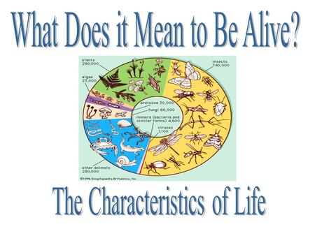 1. List 10 things that are living. 2. After you have made your list, tell three to five things they have in common.