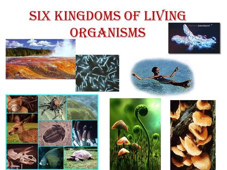 Six Kingdoms of living Organisms. Six Kingdoms and Three Domains.