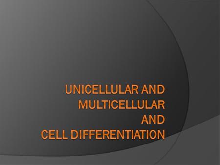 Prokaryotic Cells  Basic cell that does not have a membrane-bound nucleus  DNA – spread through much of cell  Size – very small  Organization – always.