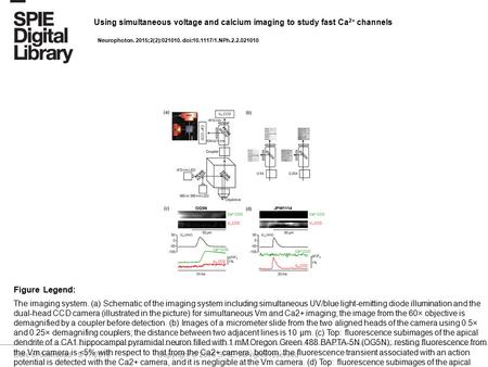 Date of download: 9/17/2016 Copyright © 2016 SPIE. All rights reserved. The imaging system. (a) Schematic of the imaging system including simultaneous.