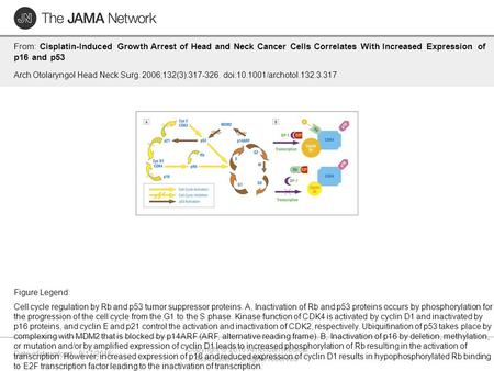 Date of download: 9/17/2016 Copyright © 2016 American Medical Association. All rights reserved. From: Cisplatin-Induced Growth Arrest of Head and Neck.