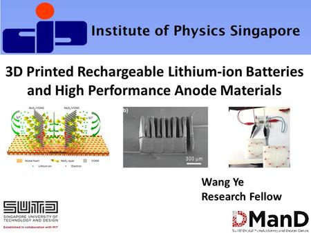 3D Printed Rechargeable Lithium-ion Batteries and High Performance Anode Materials Wang Ye Research Fellow.