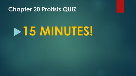 Chapter 20 Protists QUIZ  15 MINUTES!. AGENDAMay 3  OBJECTIVE: Describe the characteristics of organisms classified within Kingdom Fungi.  1. Chapter.