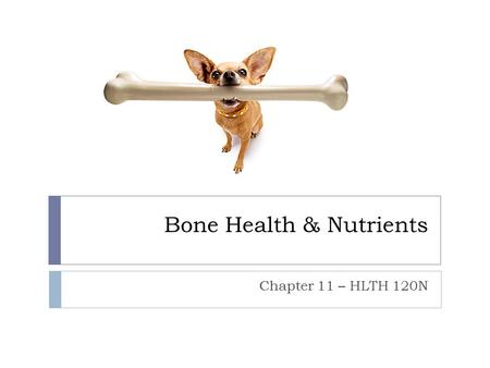 Bone Health & Nutrients Chapter 11 – HLTH 120N. What do you know about your bones?  What is peak bone density?  At about what age do you reach it? 