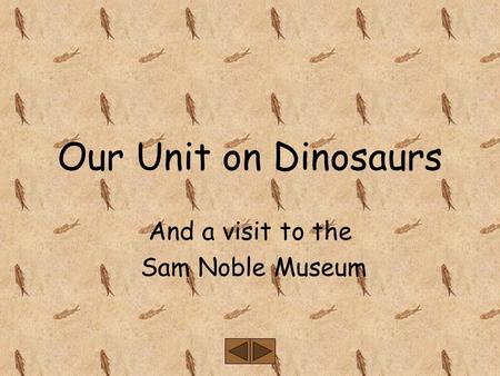 Our Unit on Dinosaurs And a visit to the Sam Noble Museum.