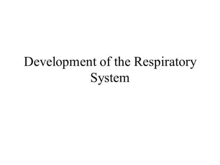 Development of the Respiratory System. During the 4 th week the respiratory diverticulum develops as an outgrowth from the ventral wall of the foregut.