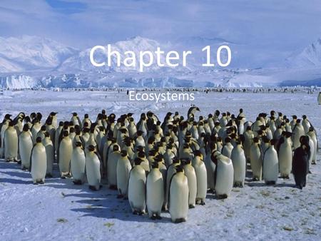 Chapter 10 Ecosystems. What is an ecosystem? An ecosystem is a community of living organisms interacting with one another and with the nonliving components.