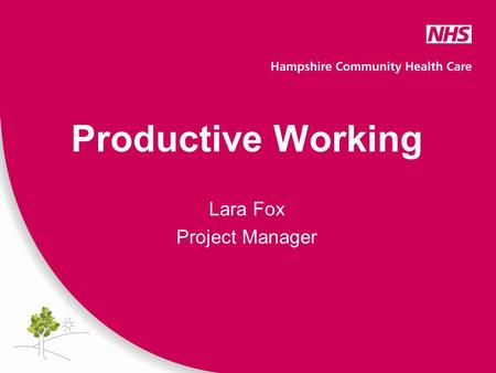 Productive Working Lara Fox Project Manager. What is Productive Working? Productive working involves efficient, effective and safe processes within a.