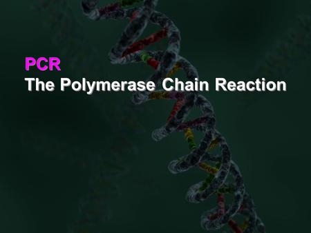 PCR The Polymerase Chain Reaction PCR The Polymerase Chain Reaction.