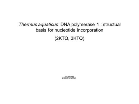 Thermus aquaticus DNA polymerase 1 : structual basis for nucleotide incorporation (2KTQ, 3KTQ)