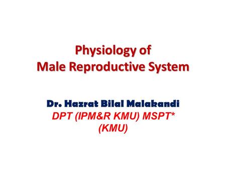 Physiology of Male Reproductive System Dr. Hazrat Bilal Malakandi DPT (IPM&R KMU) MSPT* (KMU)