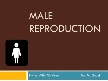 MALE REPRODUCTION Living With Children Ms. M. Guzzi.