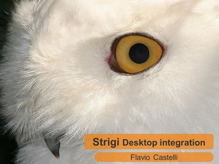 Strigi Desktop integration Flavio Castelli. Strigi desktop integration Flavio Castelli FOSDEM 2007 Why choose Strigi Strigi's main features ● fast and.